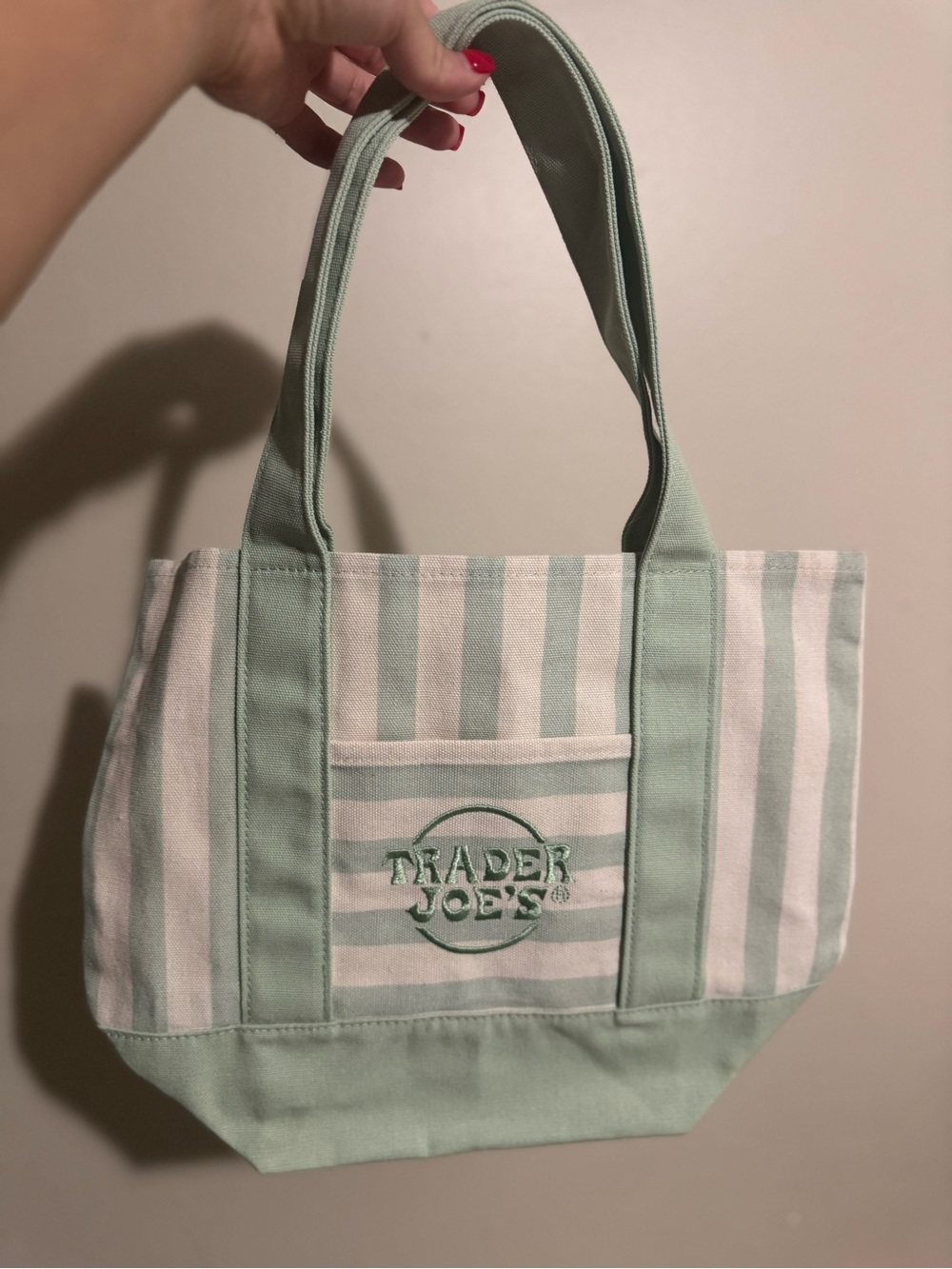 Trader Joe's Mint Green Striped Canvas Tote